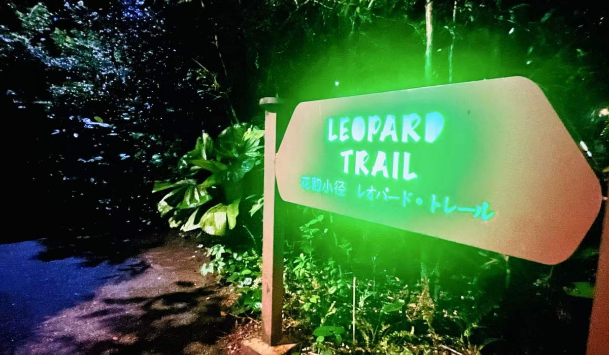 【出走。新加坡】新加坡夜間野生動物園(Night Safari) , 一場讓大人也驚呼的黑夜探險 - 第32張圖