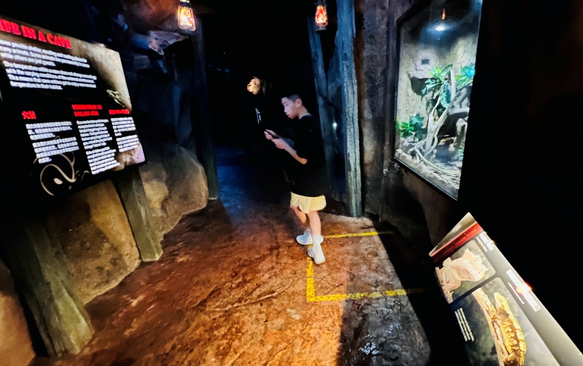 【出走。新加坡】新加坡夜間野生動物園(Night Safari) , 一場讓大人也驚呼的黑夜探險 - 第35張圖