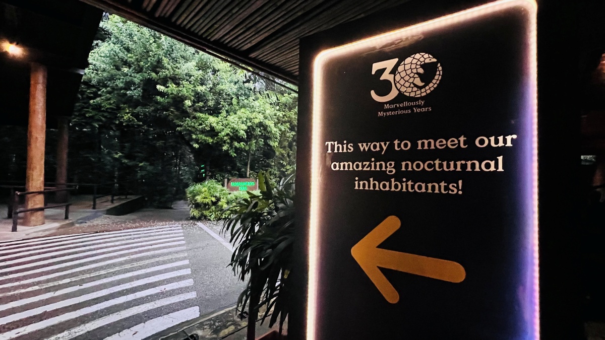 【出走。新加坡】新加坡夜間野生動物園(Night Safari) , 一場讓大人也驚呼的黑夜探險 - 第7張圖