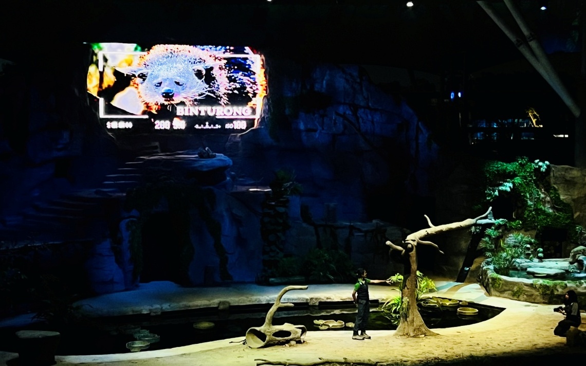 【出走。新加坡】新加坡夜間野生動物園(Night Safari) , 一場讓大人也驚呼的黑夜探險 - 第13張圖