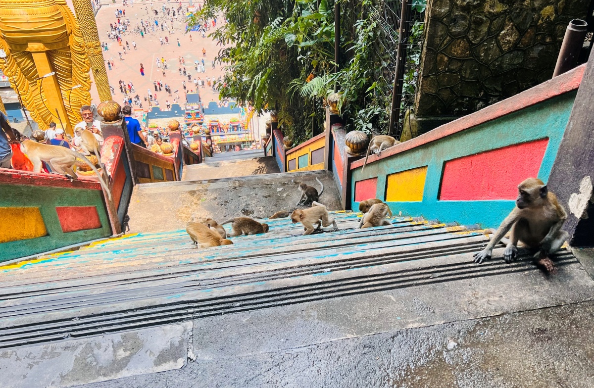 【出走。馬來西亞】吉隆坡郊外景點|黑風洞(Batu Caves) , 探索馬來西亞最壯麗的印度聖地 - 第14張圖