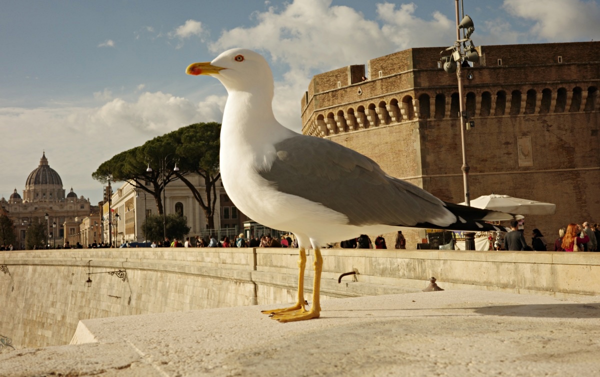 【出走。義大利】梵蒂岡自由行攻略｜一次搞懂必看亮點、購票、交通 , EP3.聖天使城堡(Castel Sant’ Angelo)