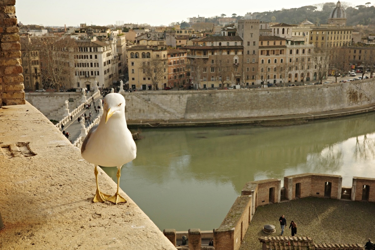 【出走。義大利】梵蒂岡自由行攻略｜一次搞懂必看亮點、購票、交通 , EP3.聖天使城堡(Castel Sant’ Angelo)