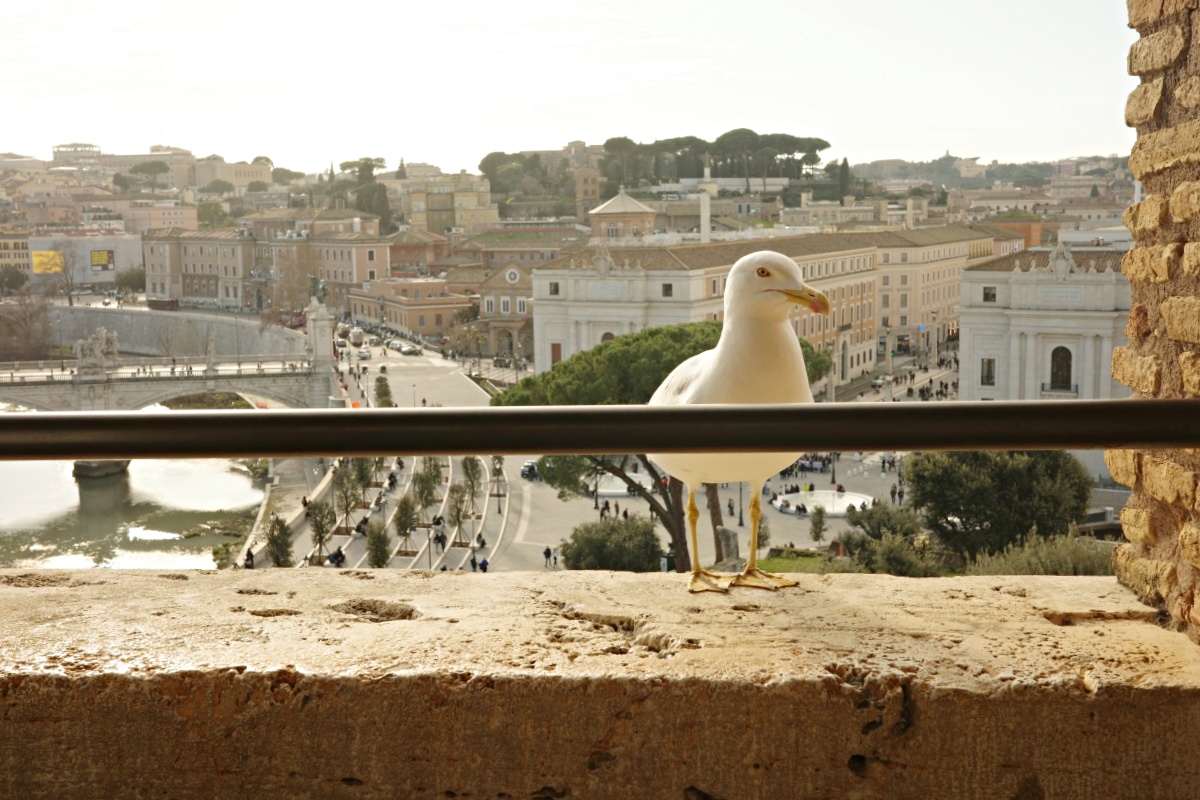 【出走。義大利】梵蒂岡自由行攻略｜一次搞懂必看亮點、購票、交通 , EP3.聖天使城堡(Castel Sant’ Angelo)