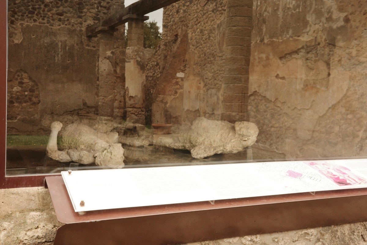 【出走。義大利】龐貝古城(Pompeii)｜如何前往龐貝？9個行政區如何規劃？EP1.交通方式、購票與參觀動線規劃