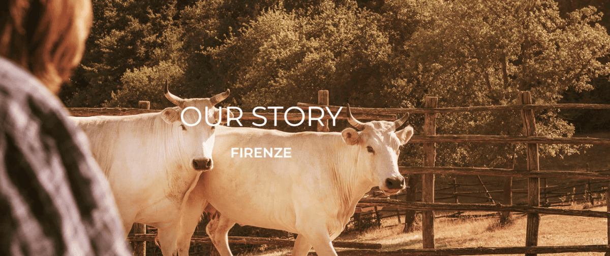 【出走。義大利】佛羅倫斯(Firenze) 7天6夜|佛羅倫斯牛排(Bistecca alla Fiorentina):5家旅遊書推薦的名店 , 我們的擇擇「Trattoria Dall’Oste」 - 第7張圖 【出走。義大利】佛羅倫斯(Firenze) 7天6夜|佛羅倫斯牛排(Bistecca alla Fiorentina):5家旅遊書推薦的名店 , 我們的擇擇「Trattoria Dall’Oste」