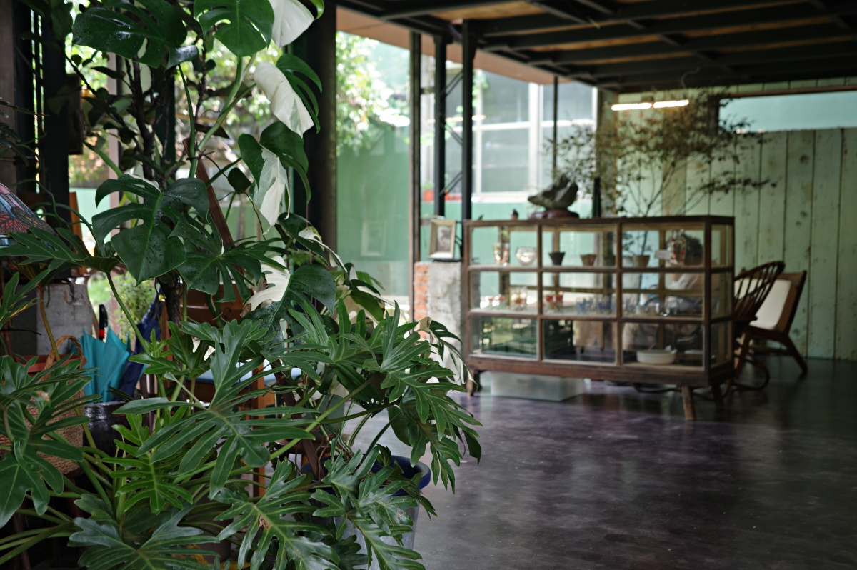【慢旅行。新竹咖啡廳推薦】福杜咖啡(Fudu Cafe’)｜關西最想去的森林系咖啡廳 , 藏在40年橘子園裡的秘境(預約制)